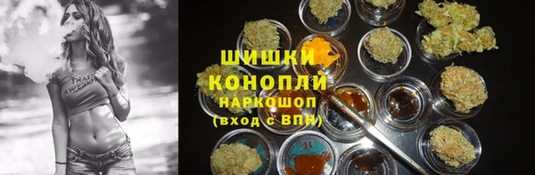 винт Абаза