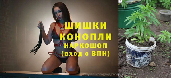 винт Абаза