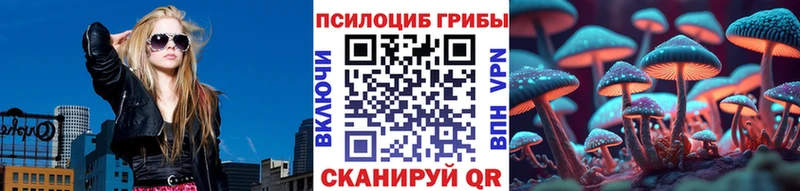 Галлюциногенные грибы прущие грибы  где можно купить   Болотное 